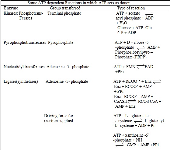 ATP dependent reactions in which atp acts as donor
